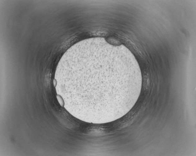 X0000115380263200912151445