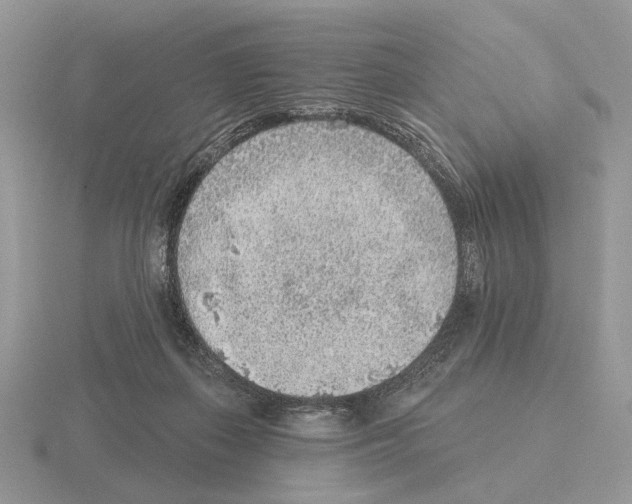 X0000115380267200912151445