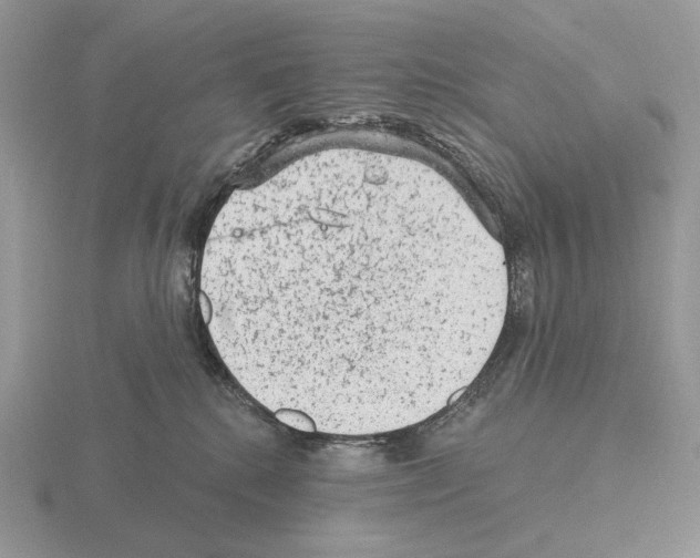 X0000115380280200912151445