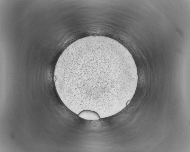 X0000115380282200912151445