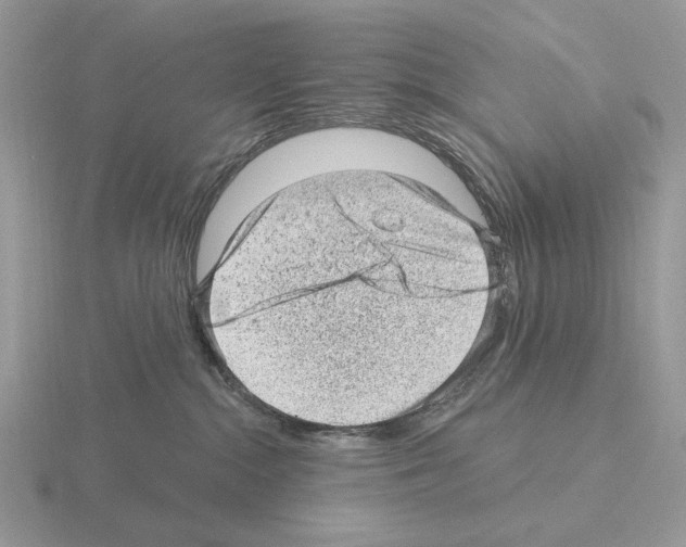 X0000115380284200912151445