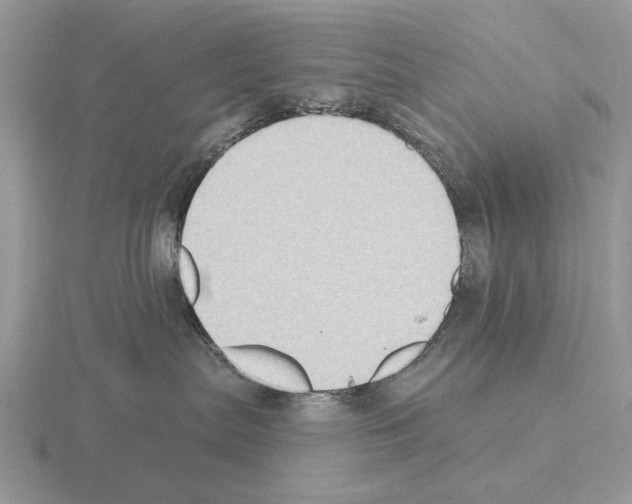 X0000115380287200912151445