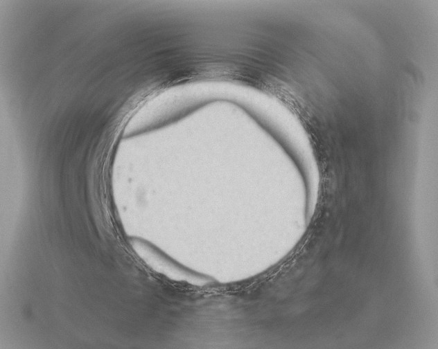 X0000115380289200912151445