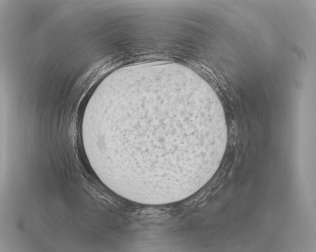 X0000115380290200912151445