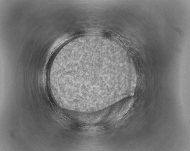 X0000115380294200912151445