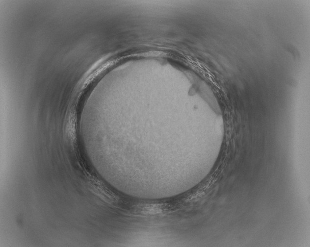 X0000115380295200912151445