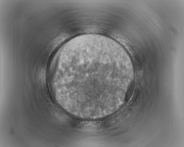 X0000115380297200912151445