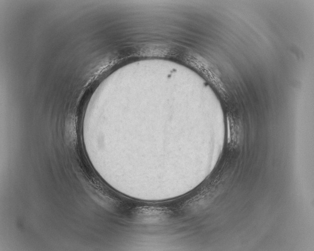 X0000115380300200912151445