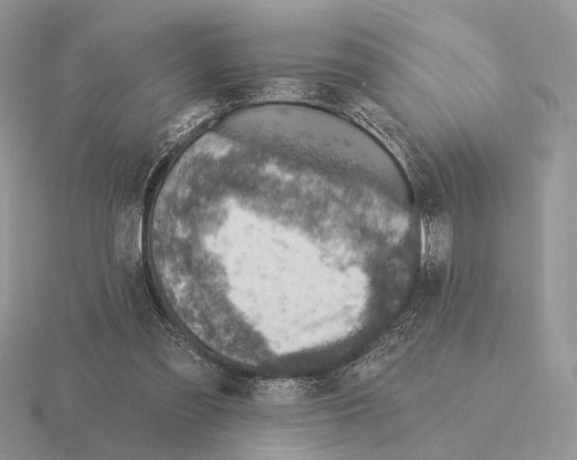 X0000115380301200912151445