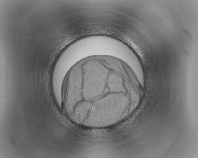 X0000115380305200912151445