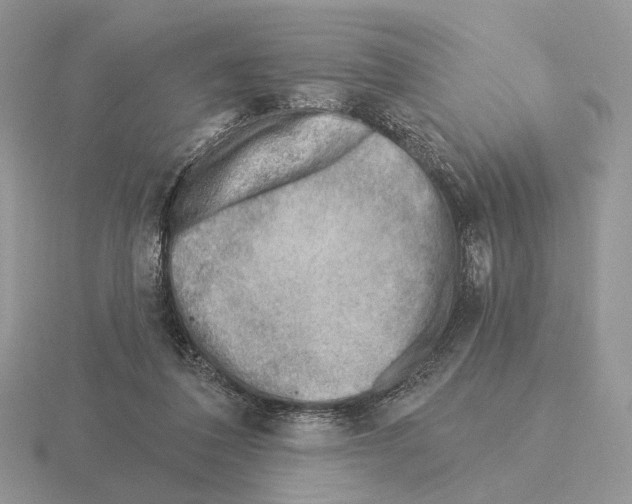 X0000115380308200912151445