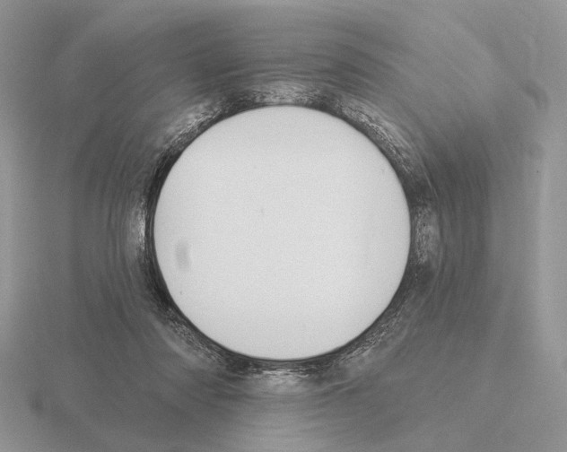 X0000115380310200912151445