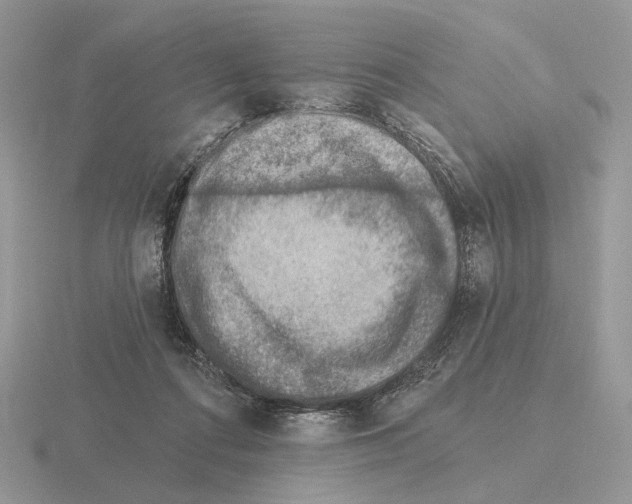 X0000115380312200912151444