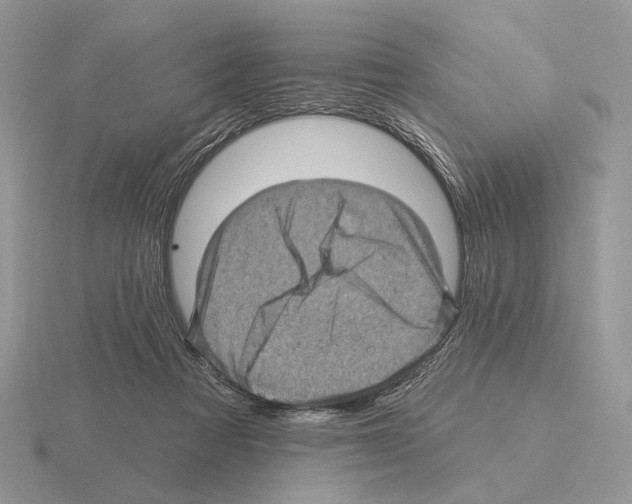 X0000115380313200912151444