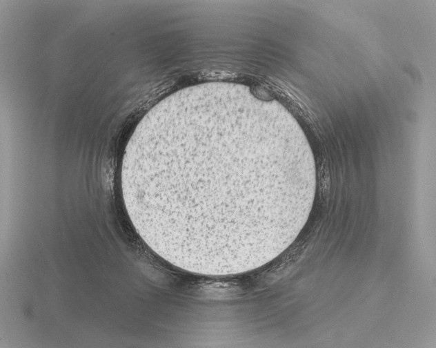 X0000115380315200912151444