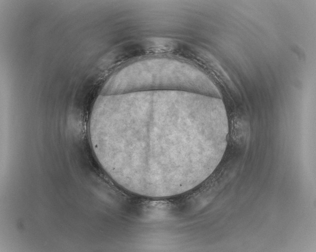 X0000115380324200912151444