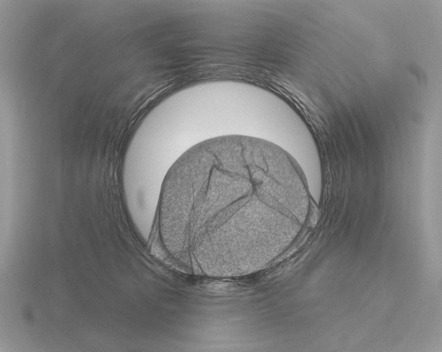 X0000115380325200912151444