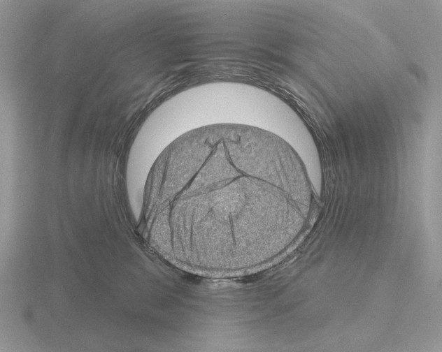 X0000115380327200912151444