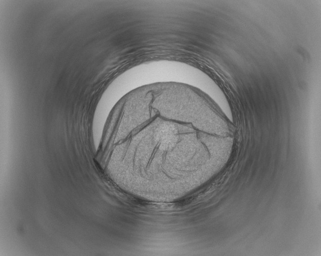 X0000115380328200912151444