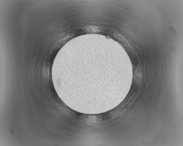 X0000115380330200912151444