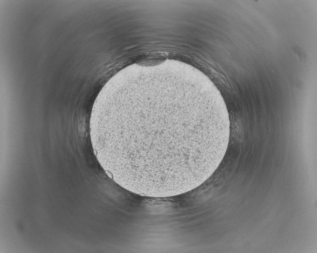 X0000115380331200912151444