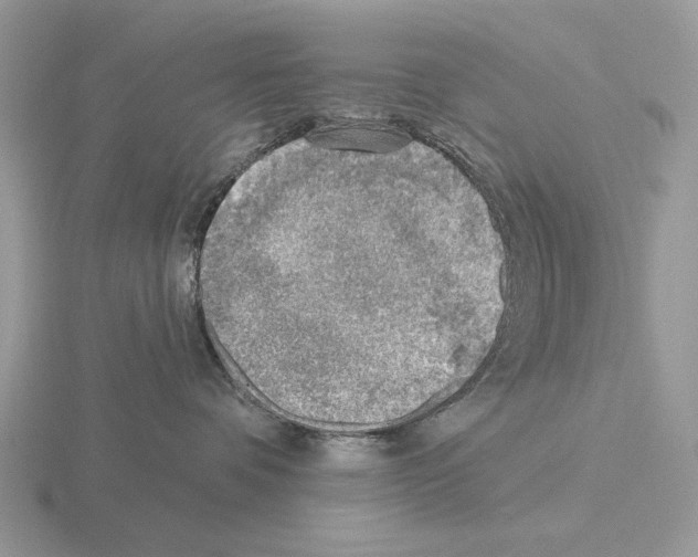 X0000115380336200912151444