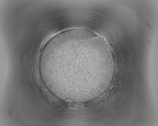 X0000115380337200912151443