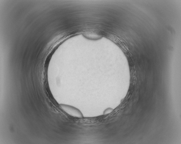 X0000115380338200912151443