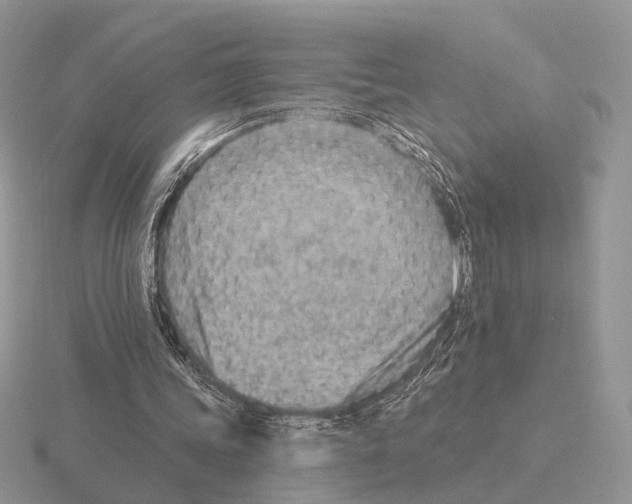 X0000115380339200912151443