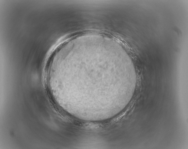 X0000115380343200912151443