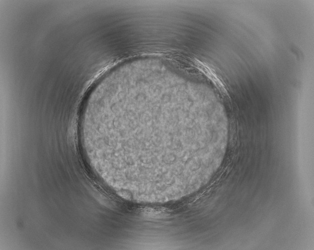 X0000115380346200912151444