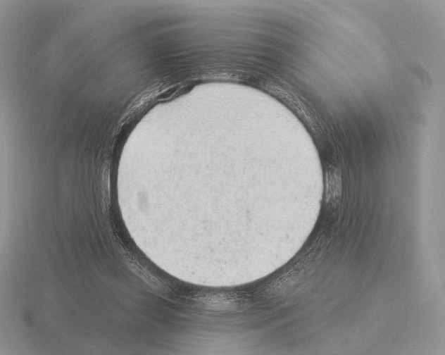 X0000115380349200912151444