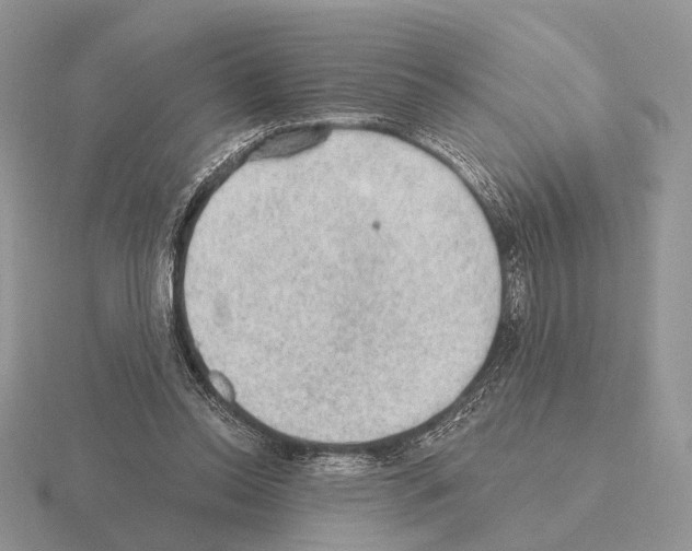 X0000115380350200912151444