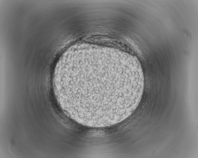 X0000115380354200912151444