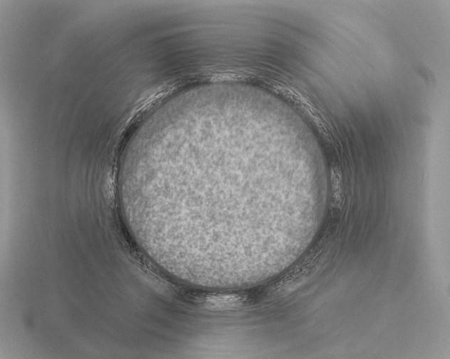 X0000115380357200912151444