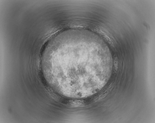 X0000115380359200912151444