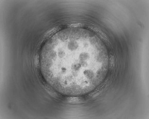 X0000115380361200912151444