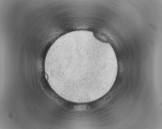 X0000115380362200912151444