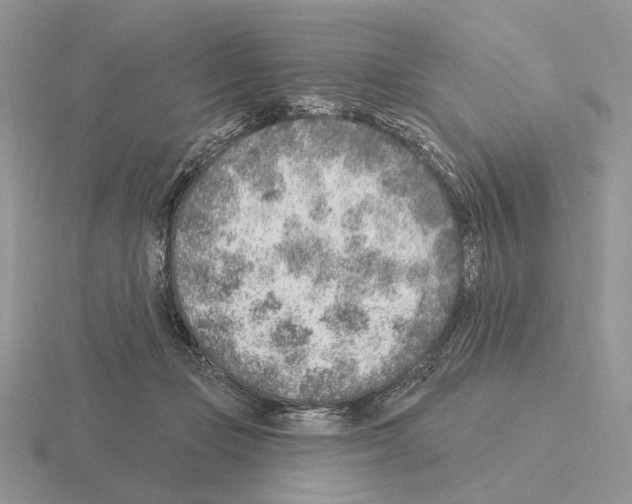 X0000115380365200912151444