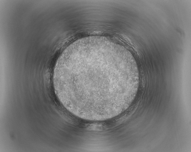 X0000115380366200912151444