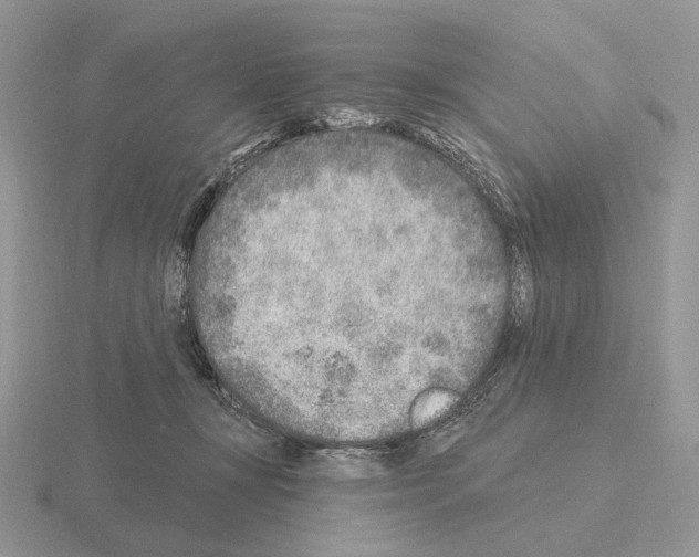 X0000115380367200912151444