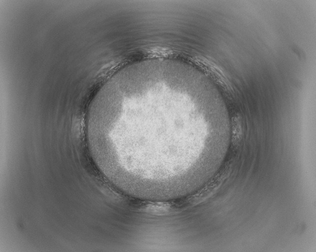 X0000115380369200912151444