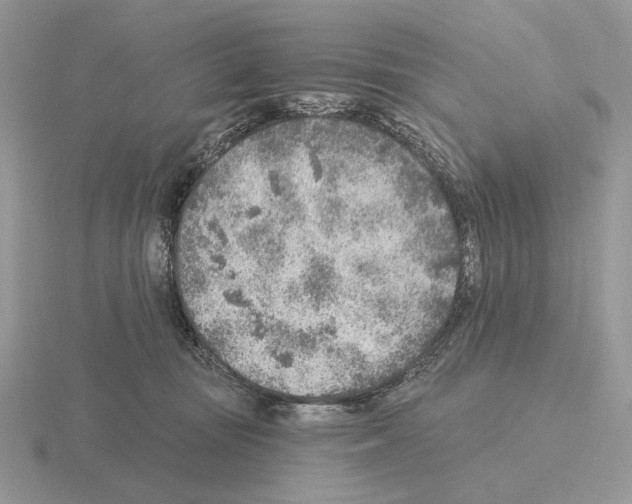 X0000115380371200912151444