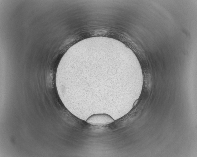 X0000115380378200912151444