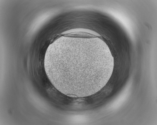 X0000115380382200912151444