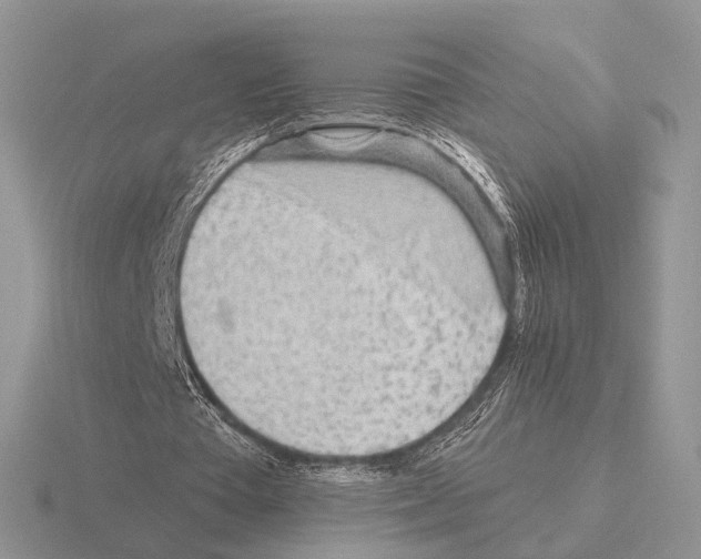 X0000115380385200912151443