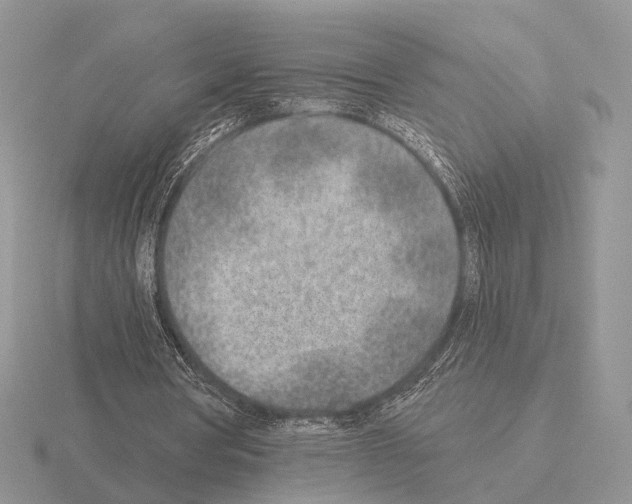 X0000115380386200912151443