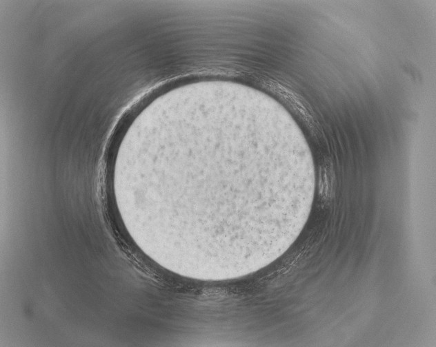 X0000115380388200912151443