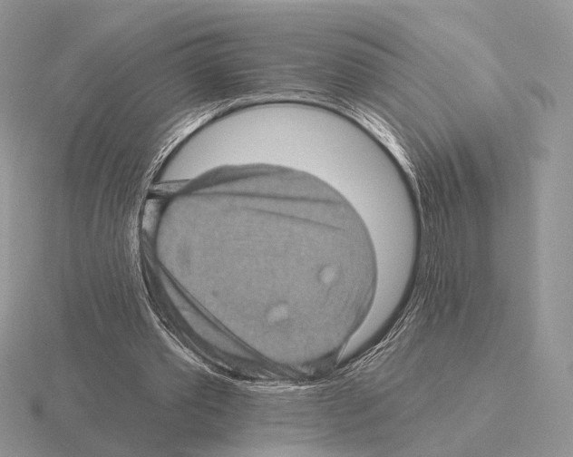 X0000115380389200912151443