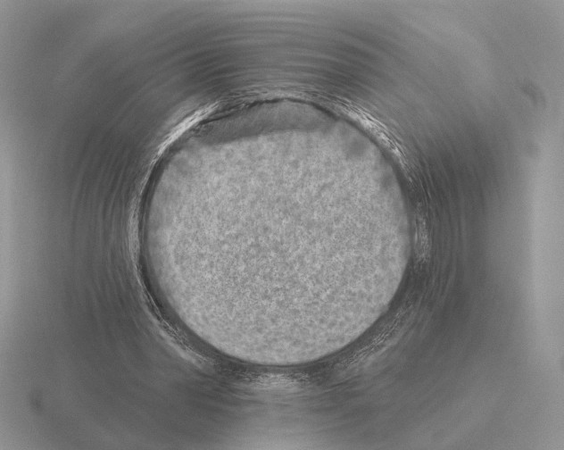 X0000115380390200912151443